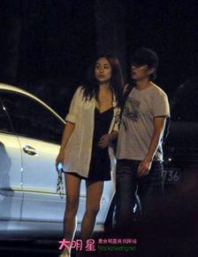 刘芸爆料郑钧完整视频,真相大白，娱乐圈再掀波澜  第1张