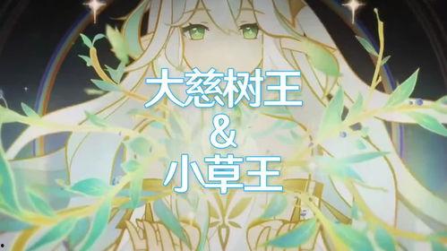 大慈树王爆料视频大全,揭秘神秘事件背后的真相  第2张