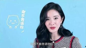 圈内八卦爆料化妆师小说,揭秘化妆师背后的秘密世界  第3张